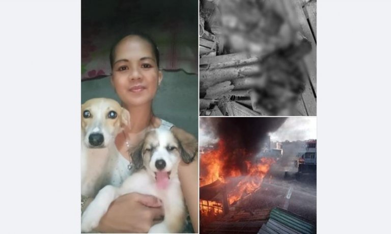 2 dogs die saving 2 children from house fire