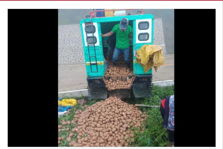 3 tons of unsold potatoes distributed in Benguet