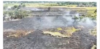 5 hectares of farm in Malolos burned