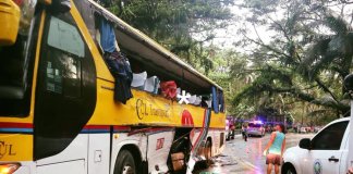 Child among 5 killed in van vs. bus accident in Quezon still unidentifed