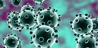 Ban on travelers from Europe due to new virus strain urged
