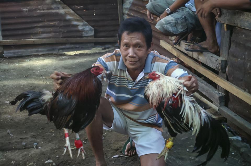 Barangay Bulacao Cebu City Philippines Cockfighting event 10