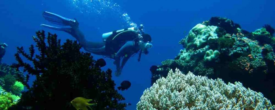 Boracay Scuba Diving