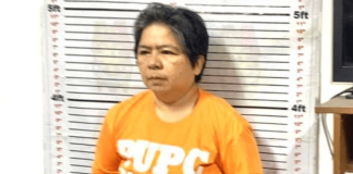 CHR Arrest of doctor activist natividad castro 'questionnable'