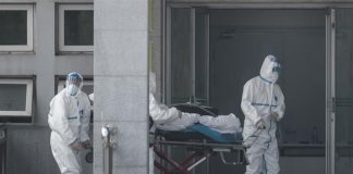 Chinese doctor investigating new coronavirus was also infected