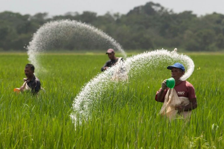 Congress to probe P1.8 billion fertilizer scam