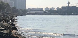 Corpse of Chinese national found floating in Manila Bay