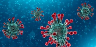 DOH monitors 12 persons in Eastern Visayas for Wuhan coronavirus