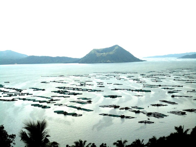DOH warns public not to buy, eat fishes from Taal Lake