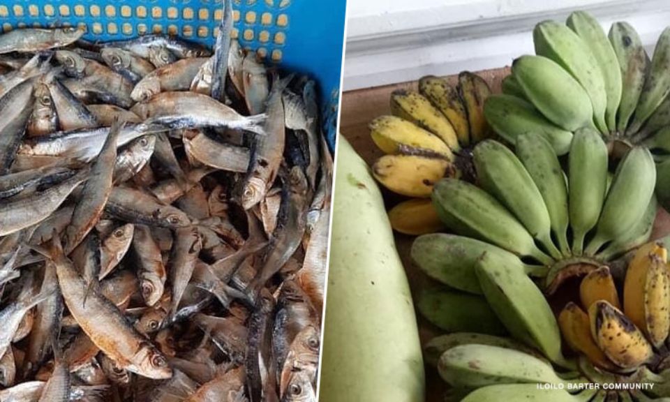 DTI secretary clarifies barter legal if it's personal transaction PLN