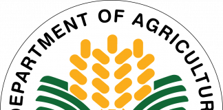 Department of Agriculture is 'neglected all these 30 years' - Dar