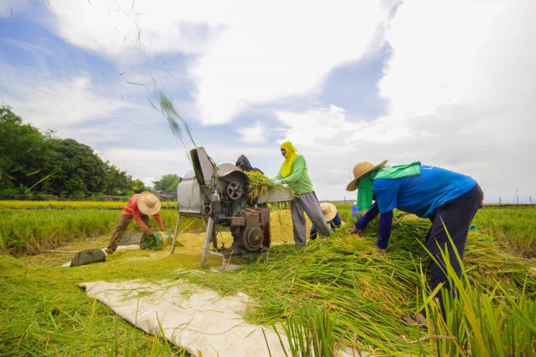 P125-M OVP confidential funds would have benefited 8,300 farmers — groups