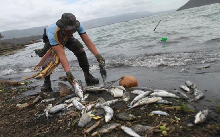Fish kill in Taal Lake nothing to do with volcanic sulfur dioxide-BFAR