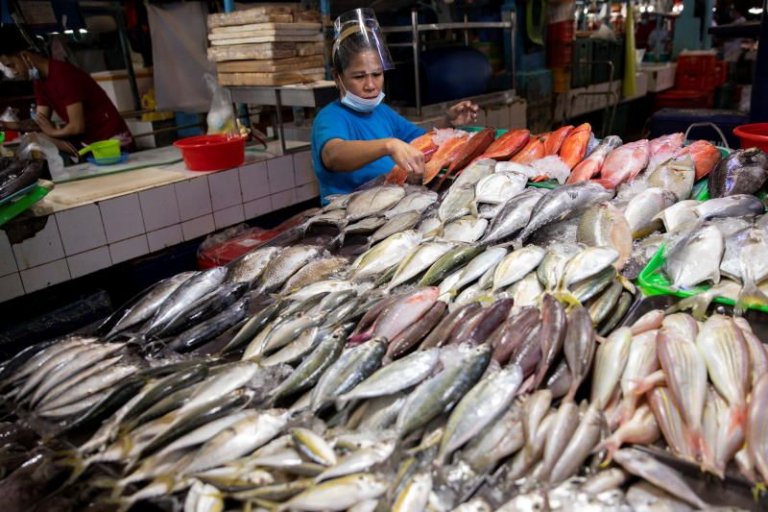 Fish supply, prices stable in NCR Plus- DA