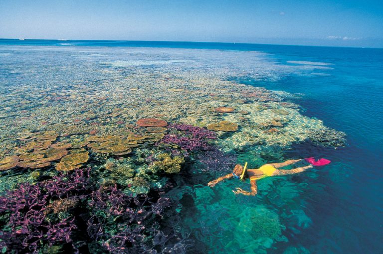 Great Barrier Reef australia 8