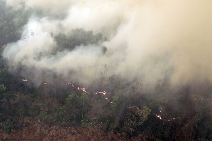 Haze from Indonesia forest fires reaches PH