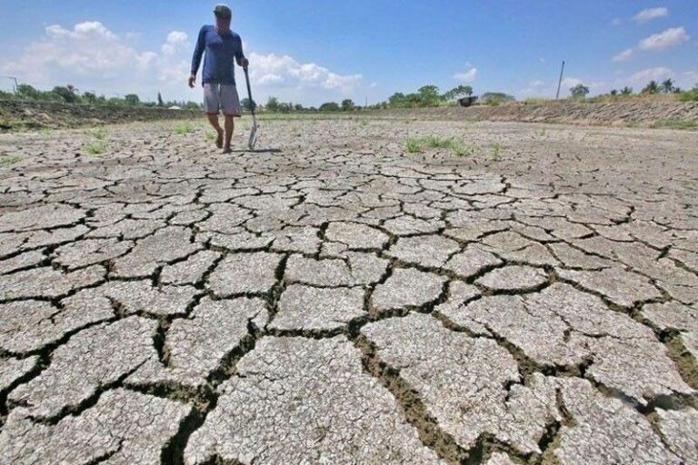Ilocos farmers fear poor crops as El Niño limits water