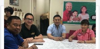 Imee Marcos wants to lead finance committee - Angara