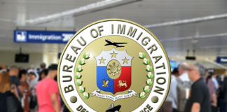 Aliens hired to work in PH but still abroad may now be given work visas - BI
