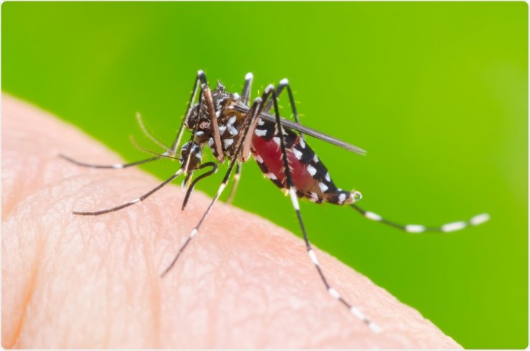Cases of dengue, leptospirosis increasing - DOH