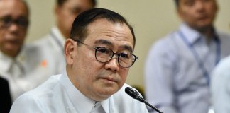 Locsin says PH needs technical help from other countries