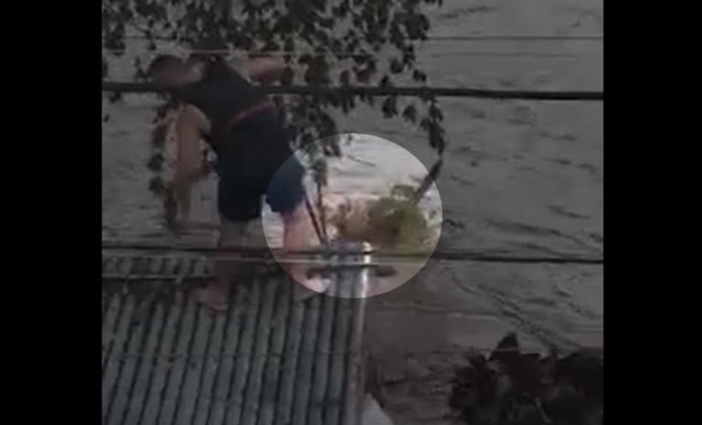 Man rescues dog left tied up in flooded house