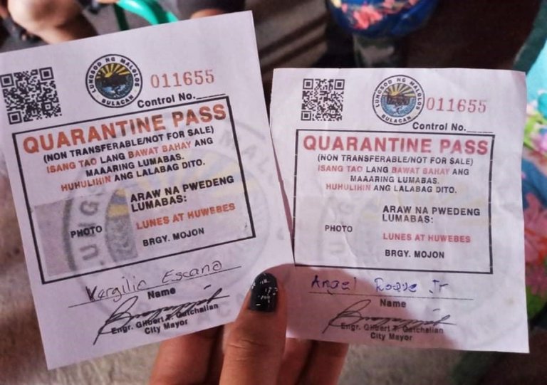 Metro Manila LGUs issue quarantine passes before ECQ