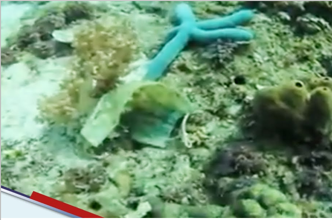 More medical wastes observed in Batangas dive sites