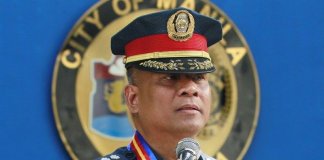 NCRPO chief Vicente Danao