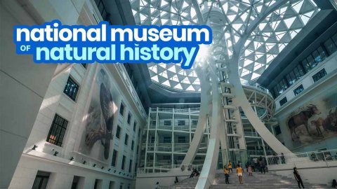 National-Museum-Natural-History-Manila-Philippines