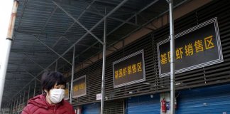 New China coronavirus kills one, first case recorded in Japan