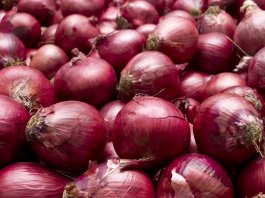 Senate sponsors probe on high onion prices