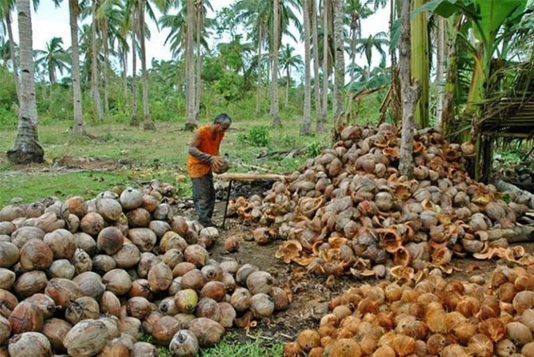 P70-B Coco Levy Trust Fund released coconut farmers duterte
