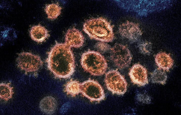Philippines logs 6 cases of South African coronavirus variant