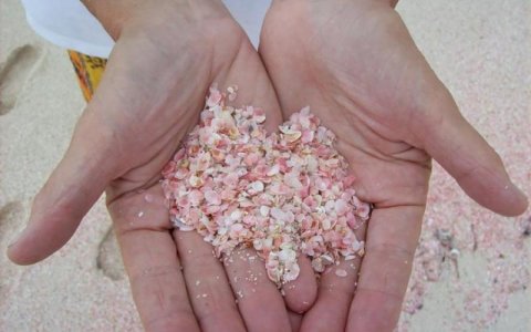 Pink-Sand Bahamas. handsjpg