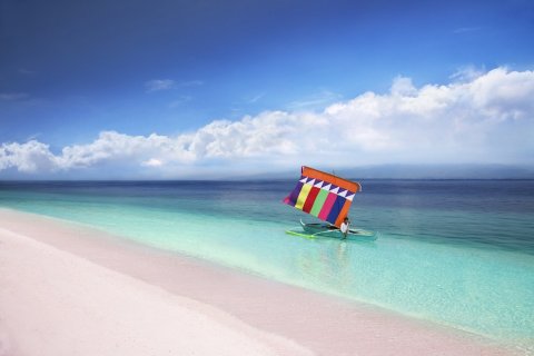 Pink Sand Beach of Sta Cruz Island