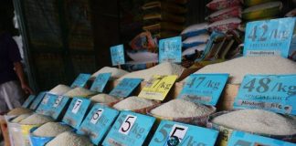 Price of rice might increase by P4 per kilo - farmers group