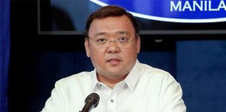 Roque clarifies '1-year vacation' remark