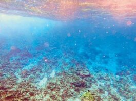 Rozul Reef, Escoda Shoal suffer 'severe damage' - PCG