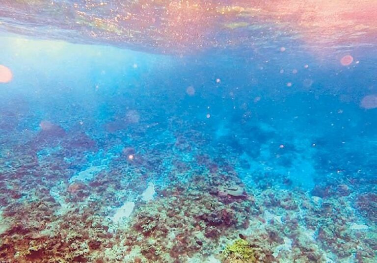 Rozul Reef, Escoda Shoal suffer 'severe damage' - PCG