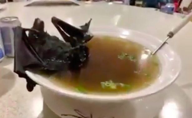 Scientists suspect Wuhan coronavirus came from bat soup