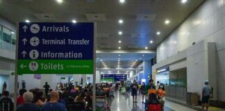 Senators urge airport customer service improvement