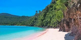 Pink Sand Beaches in the Philippines to visit this 2020