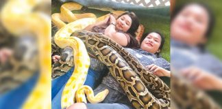 Snake massage in Aklan gives thrill to tourists