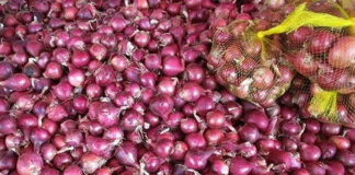 Gov't had no choice but to import onions - Marcos