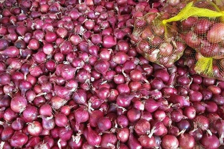 Gov't had no choice but to import onions - Marcos