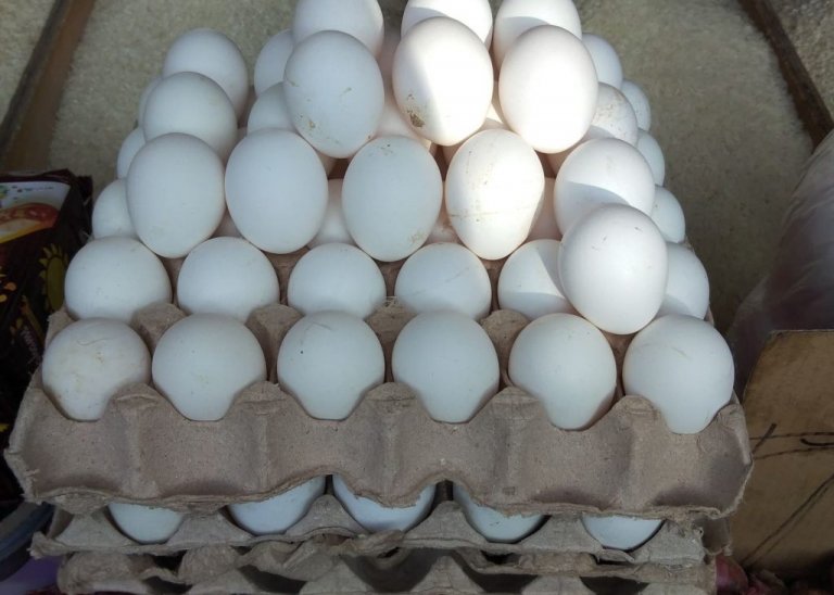 Some traders reduced production of eggs, meat due to ECQ, imports