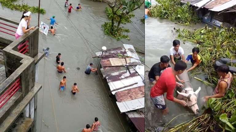 State of calamity Baco, Oriental Mindoro
