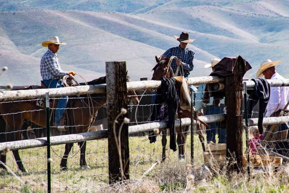 Group of cowboys with their horses