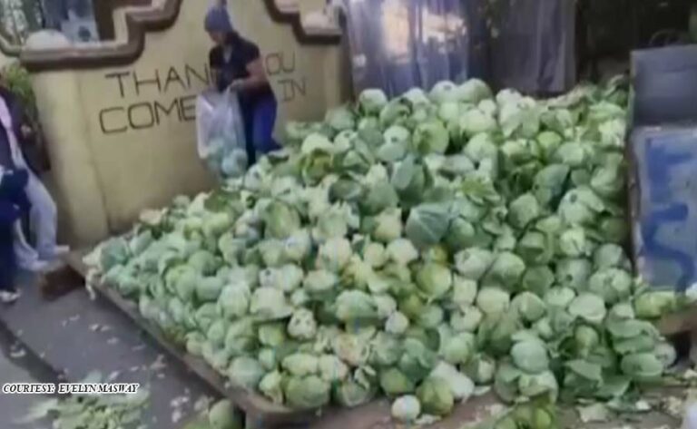 Vegetables pile up on the road in Benguet due to low market sales